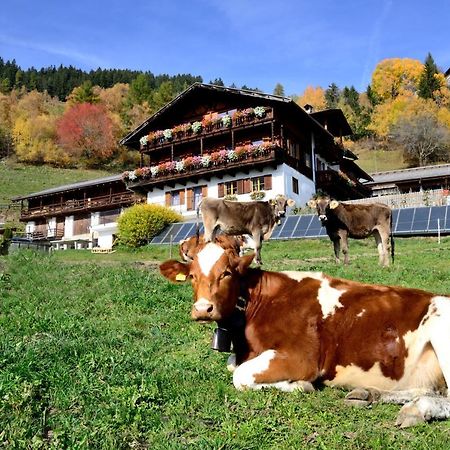 مبيت وإفطار بريسّانوني Wegscheiderhof المظهر الخارجي الصورة